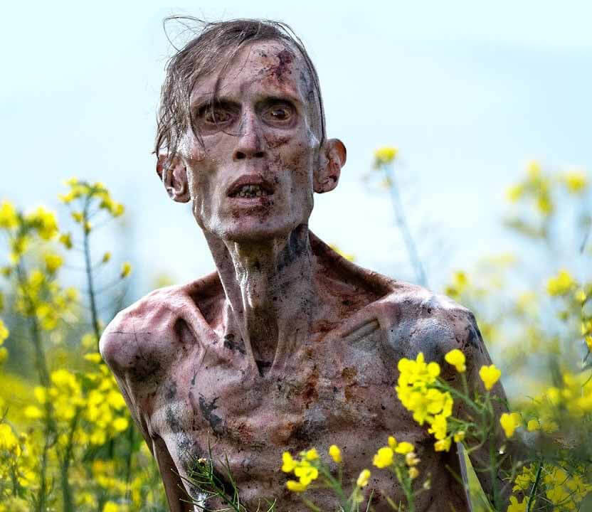 Watch 28 Years Later online securely