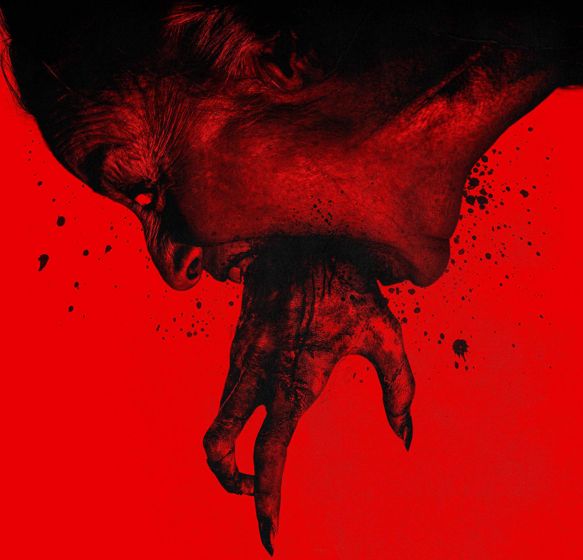 Bury the Devil viewing guide artwork