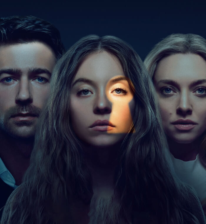 Watch The Housemaid online securely